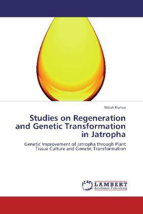 Kumar |  Studies on Regeneration and Genetic Transformation in Jatropha | Buch |  Sack Fachmedien