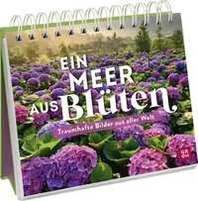 Funk |  Ein Meer aus Blüten | Buch |  Sack Fachmedien
