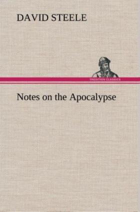 Steele |  Notes on the Apocalypse | Buch |  Sack Fachmedien