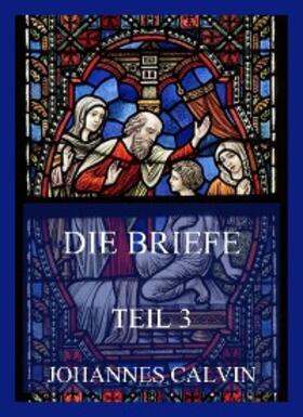 Calvin |  Die Briefe, Teil 3 | eBook | Sack Fachmedien