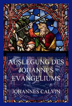 Calvin |  Auslegung des Johannes-Evangeliums | eBook | Sack Fachmedien