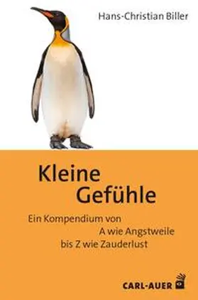 Biller | Kleine Gefühle | Buch | 978-3-8497-0527-5 | sack.de