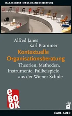 Janes / Prammer |  Kontextuelle Organisationsberatung | eBook | Sack Fachmedien