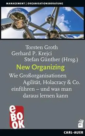 Groth / Krejci / Günther |  New Organizing | eBook | Sack Fachmedien