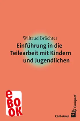 Brächter |  Einführung in die Teilearbeit mit Kindern und Jugendlichen | eBook | Sack Fachmedien
