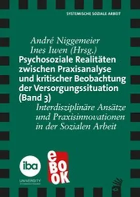 Niggemeier / Iwen |  Psychosoziale Realitäten zwischen Praxisanalyse und kritischer Beobachtung der Versorgungssituation (Band 3) | eBook | Sack Fachmedien