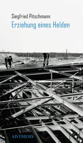 Pitschmann / Stella |  Erziehung eines Helden | Buch |  Sack Fachmedien