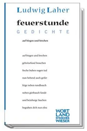 Laher |  feuerstunde | Buch |  Sack Fachmedien