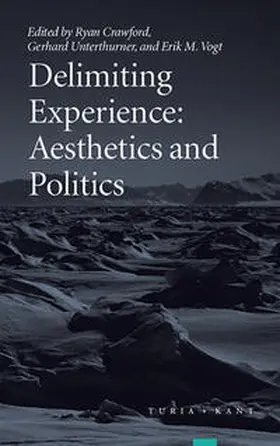 Crawford / Unterthurner / Vogt |  Delimiting Experience | Buch |  Sack Fachmedien