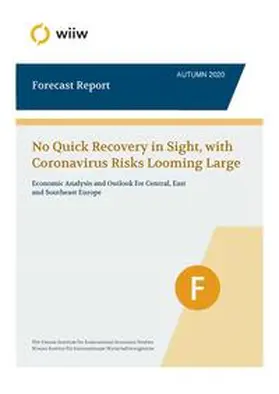Astrov / Bykova / Grieveson |  wiiw Forecast Report / Autumn 2020 | Buch |  Sack Fachmedien