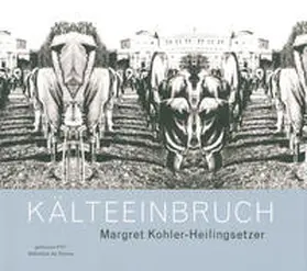  Margret Kohler-Heilingsetzer – Kälteeinbruch | Buch |  Sack Fachmedien