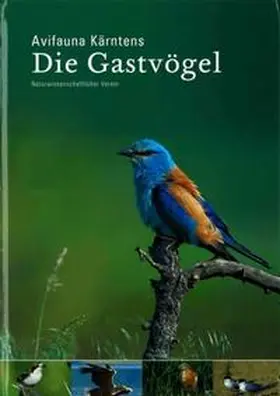 Feldner / Petutschnig |  Avifauna Kärntens | Buch |  Sack Fachmedien