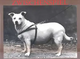 Dressler |  Zwischenspiel | Buch |  Sack Fachmedien