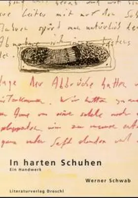 Schwab / Orthofer |  In harten Schuhen | Buch |  Sack Fachmedien