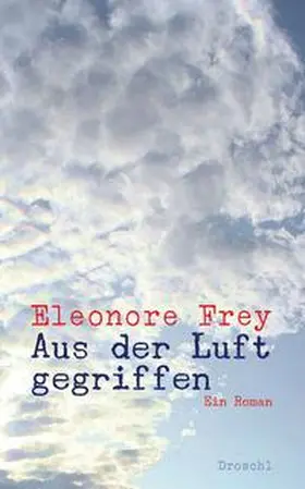 Frey |  Aus der Luft gegriffen | Buch |  Sack Fachmedien