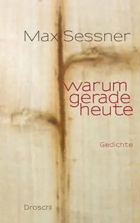 Sessner |  Warum gerade heute | Buch |  Sack Fachmedien