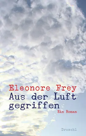Frey |  Aus der Luft gegriffen | eBook | Sack Fachmedien
