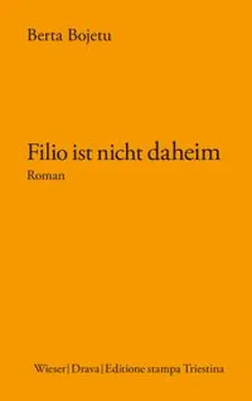 Bojetu |  Filio ist nicht daheim | Buch |  Sack Fachmedien