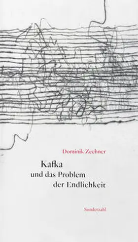 Zechner |  Kafka und das Problem der Endlichkeit | Buch |  Sack Fachmedien