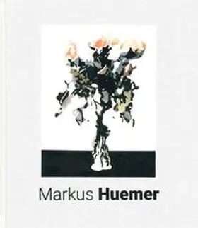 OÖ Landes-Kultur GmbH / Weidinger / Perndl |  Markus Huemer | Buch |  Sack Fachmedien