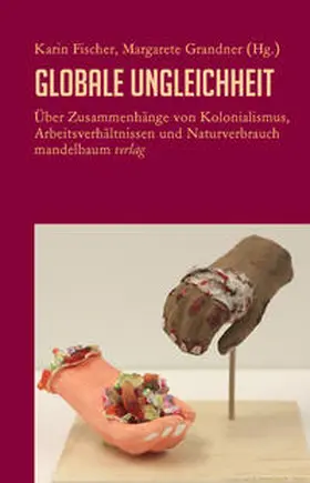 Fischer / Grandner |  Globale Ungleichheit | Buch |  Sack Fachmedien