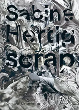 Goldbach |  Sabine Hertig - Scrap | Buch |  Sack Fachmedien