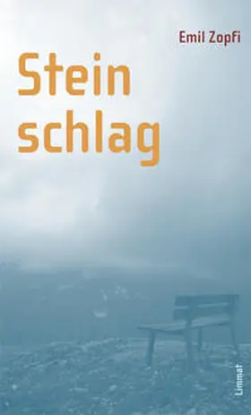 Zopfi | Steinschlag | Buch | 978-3-85791-408-9 | sack.de