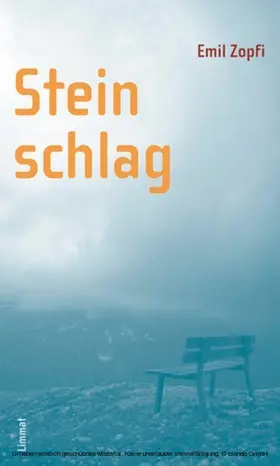 Zopfi |  Steinschlag | eBook | Sack Fachmedien