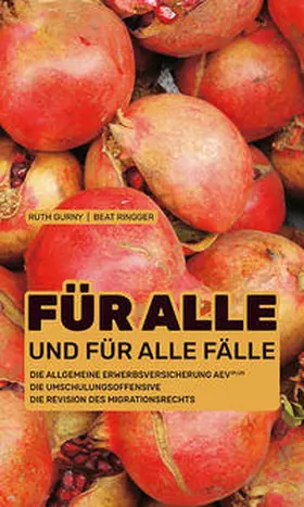 Gurny / Ringger |  Für alle und für alle Fälle | Buch |  Sack Fachmedien