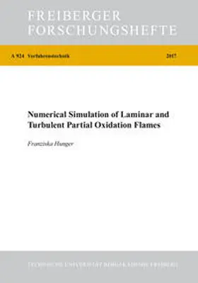 Hunger |  Numerical Simulation of Laminar and Turbulent Partial Oxidation Flames | Buch |  Sack Fachmedien