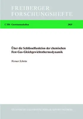 Schrön |  Über die Schlüsselfunktion der chemischen Fest-Gas-Gleichgewichtsthermodynamik | Buch |  Sack Fachmedien