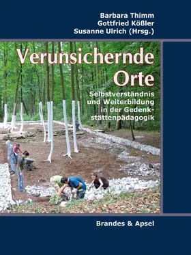 Eckmann / Geißler / George |  Verunsichernde Orte | eBook | Sack Fachmedien