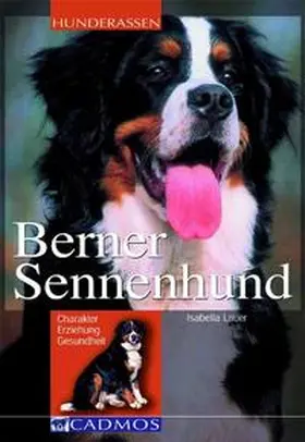 Lauer |  Berner Sennenhund | Buch |  Sack Fachmedien