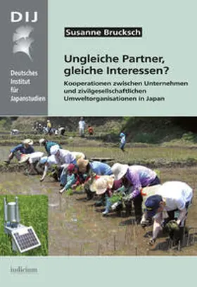 Brucksch |  Ungleiche Partner, gleiche Interessen? | Buch |  Sack Fachmedien