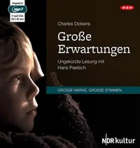 Dickens |  Große Erwartungen | Sonstiges |  Sack Fachmedien