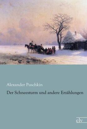 Puschkin |  Der Schneesturm und andere Erzählungen | Buch |  Sack Fachmedien