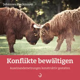 Stockmayer | Konflikte bewältigen | Buch | 978-3-86270-857-4 | sack.de