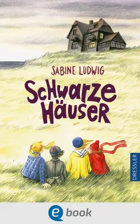 Ludwig |  Schwarze Häuser | eBook | Sack Fachmedien