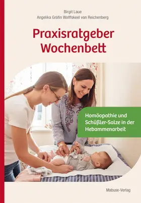 Laue / Reichenberg |  Praxisratgeber Wochenbett | eBook | Sack Fachmedien