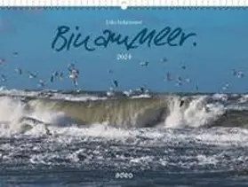 Schroeter |  Bin am Meer 2024 - Wandkalender | Sonstiges |  Sack Fachmedien