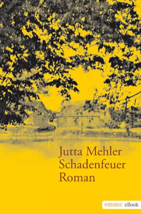 Mehler |  Schadenfeuer | eBook | Sack Fachmedien