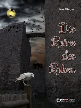 Flieger | Die Ruine der Raben | E-Book | www2.sack.de