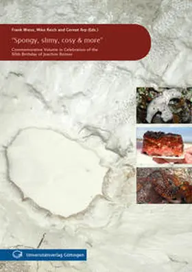 Wiese / Reich / Arp |  "Spongy, slimy, cosy & more" | Buch |  Sack Fachmedien