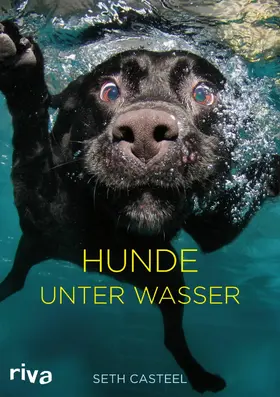 Casteel |  Hunde unter Wasser | eBook | Sack Fachmedien