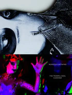 Bronfen / Pethick |  The Trompe l'oeil Cleavage | Buch |  Sack Fachmedien