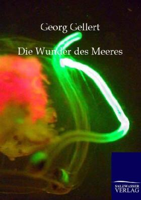 Gellert |  Die Wunder des Meeres | Buch |  Sack Fachmedien