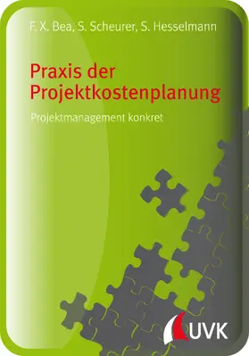 Scheurer / Bea / Hesselmann |  Praxis der Projektkostenplanung | eBook | Sack Fachmedien
