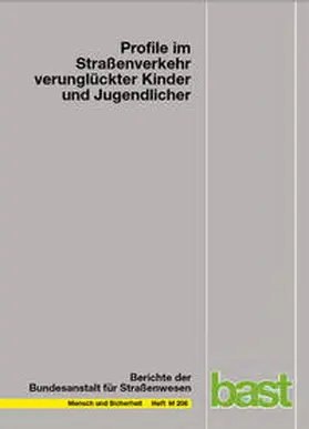 Holte |  Profile im Straßenverkehr verunglückter Kinder und Jugendlicher | Buch |  Sack Fachmedien