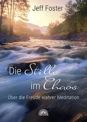 Foster |  Die Stille im Chaos | Buch |  Sack Fachmedien