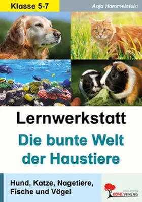 Hammelstein |  Lernwerkstatt - Die bunte Welt der Haustiere | Buch |  Sack Fachmedien